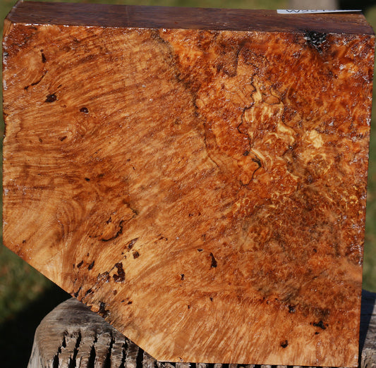 Maple Burl Bowl Blank