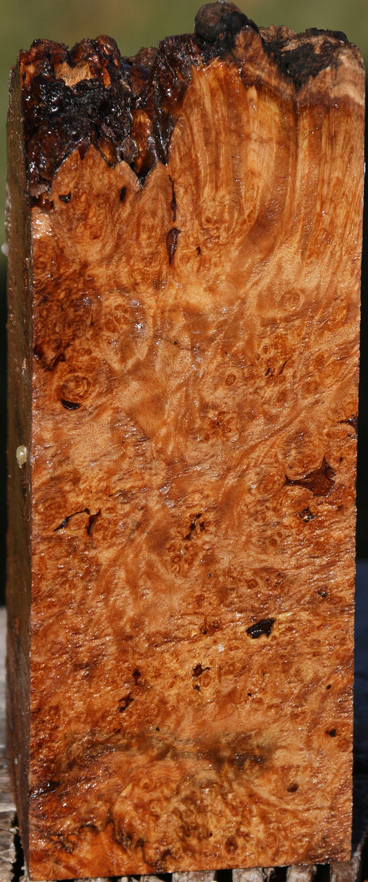 Maple Burl Live Edge Turning Blank