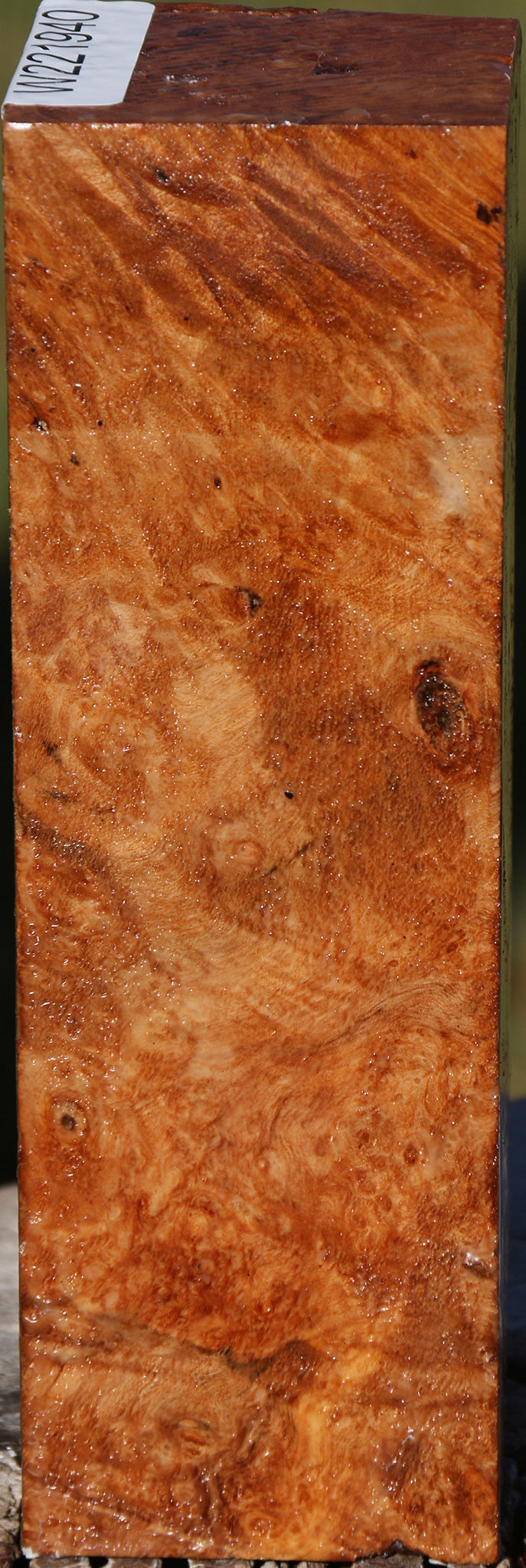 Maple Burl Peppermill