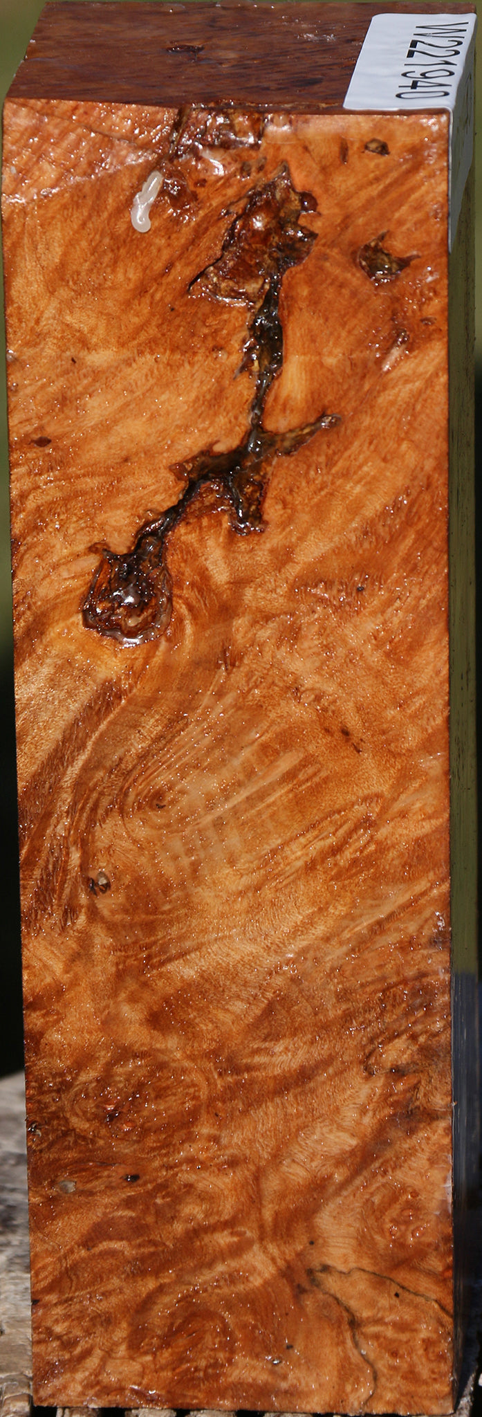 Maple Burl Peppermill