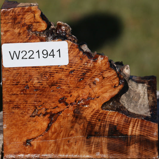 Maple Burl Live Edge Slice