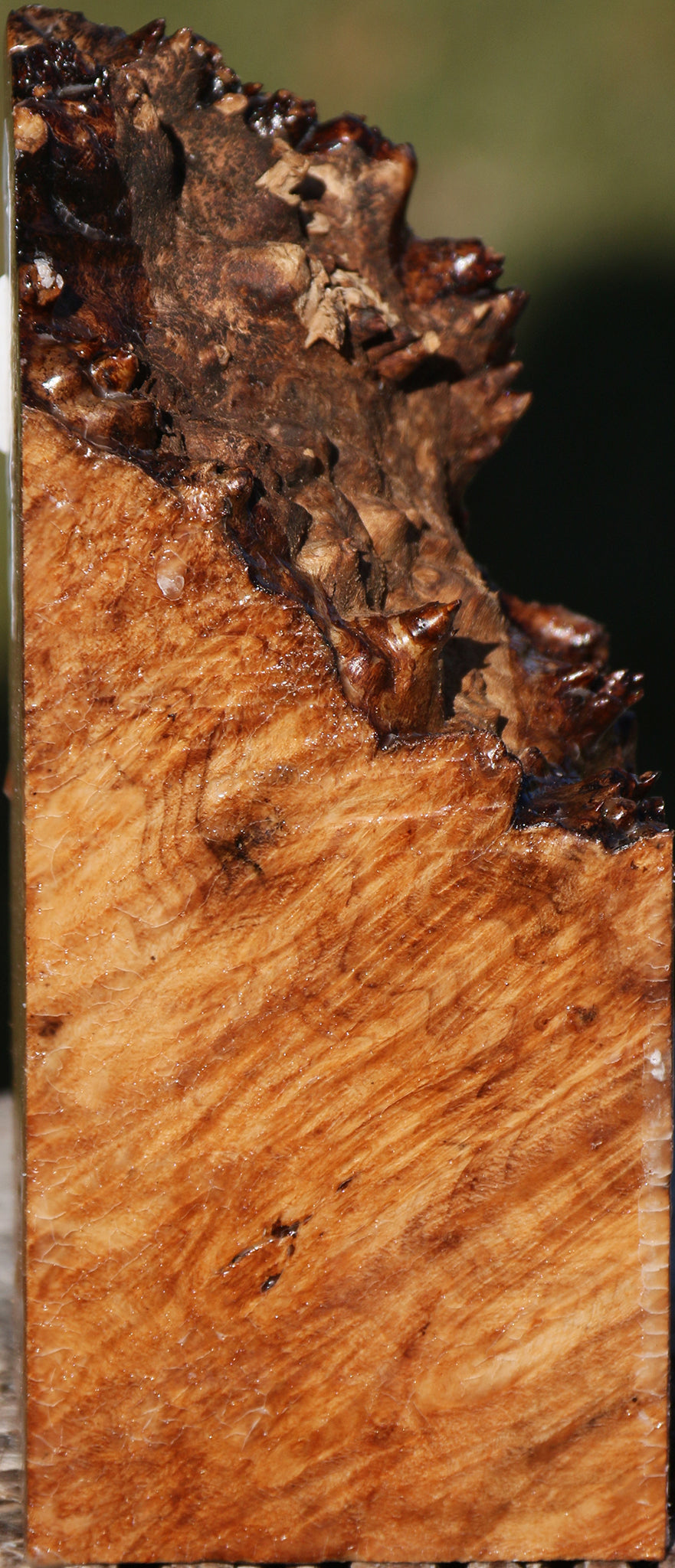 Maple Burl Live Edge Turning Square