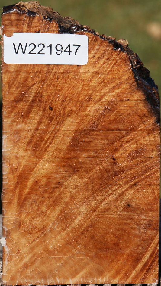 Maple Burl Live Edge Turning Blank