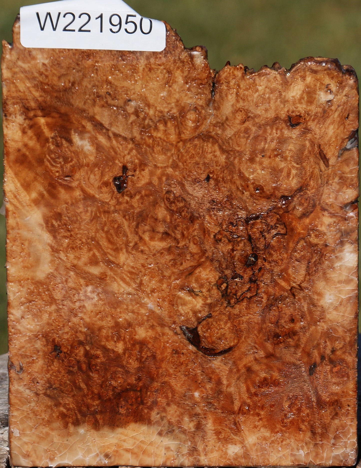 Maple Burl Live Edge Turning Blank