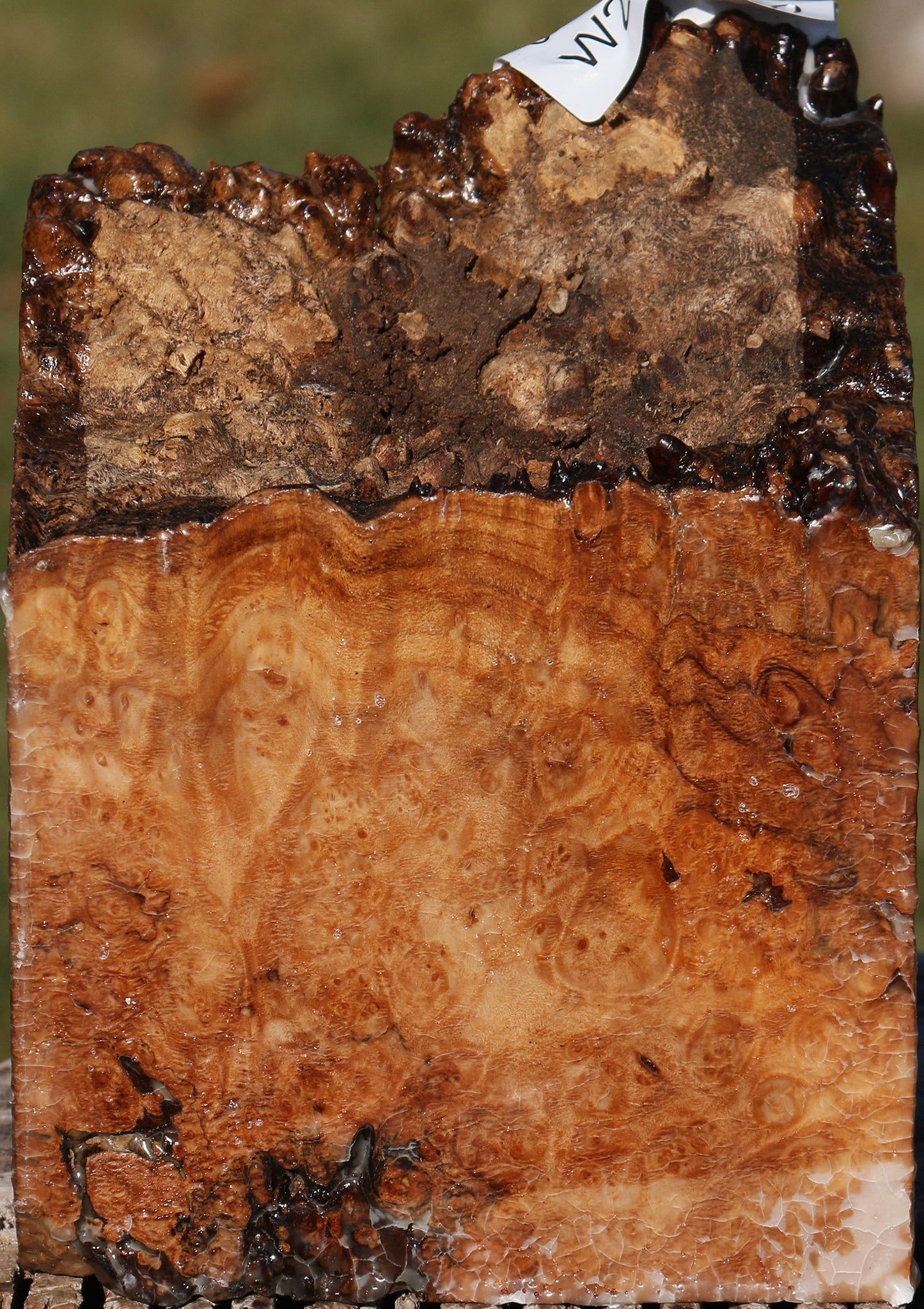 Maple Burl Live Edge Turning Blank