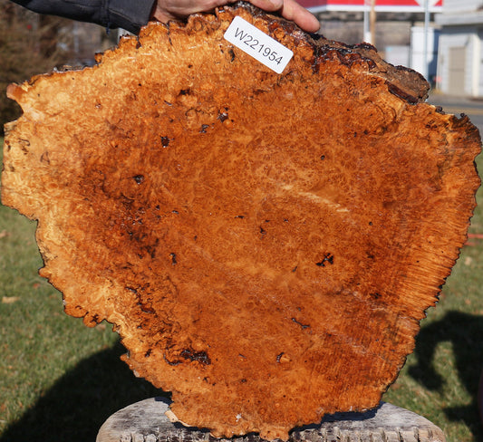 Maple Burl Cookie