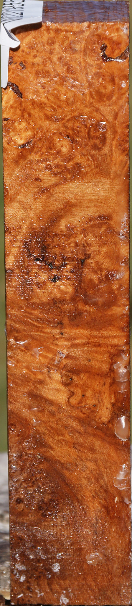 Maple Burl Turning Square