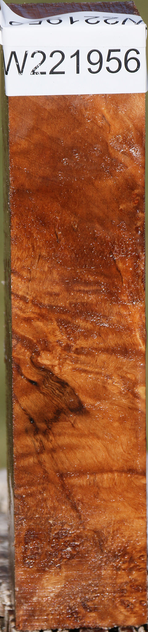 Maple Burl Turning Square