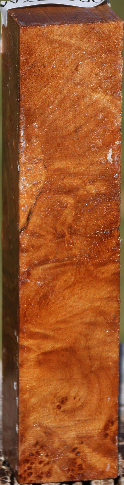 Maple Burl Turning Square