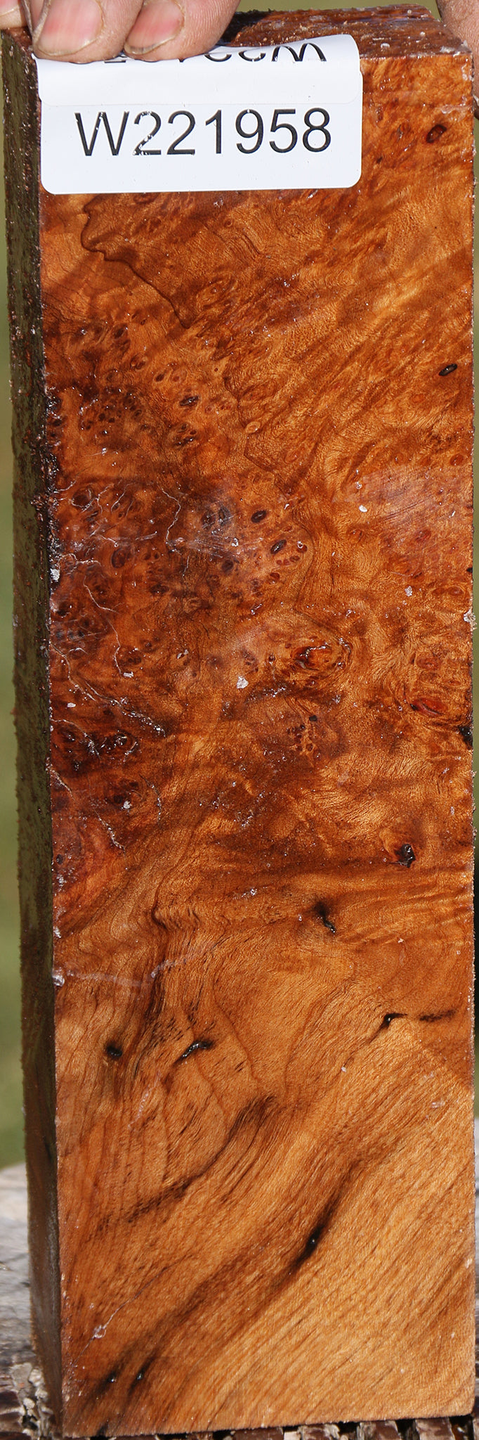 Maple Burl Turning Blank