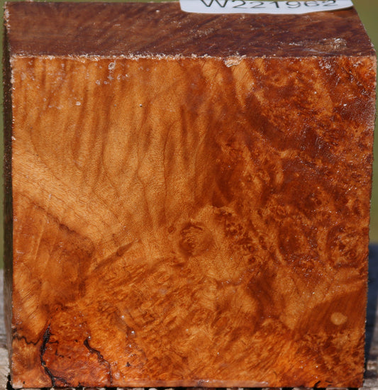 Maple Burl Bowl Blank