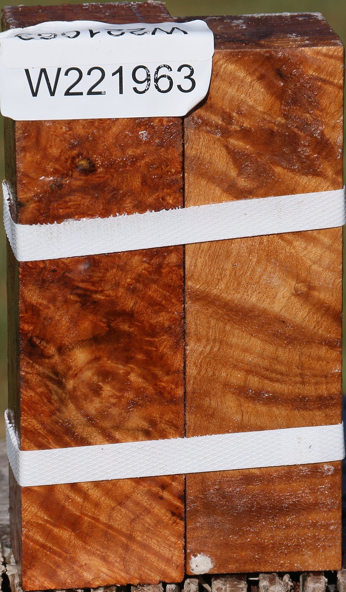 Maple Burl Turning Square 2 Pack