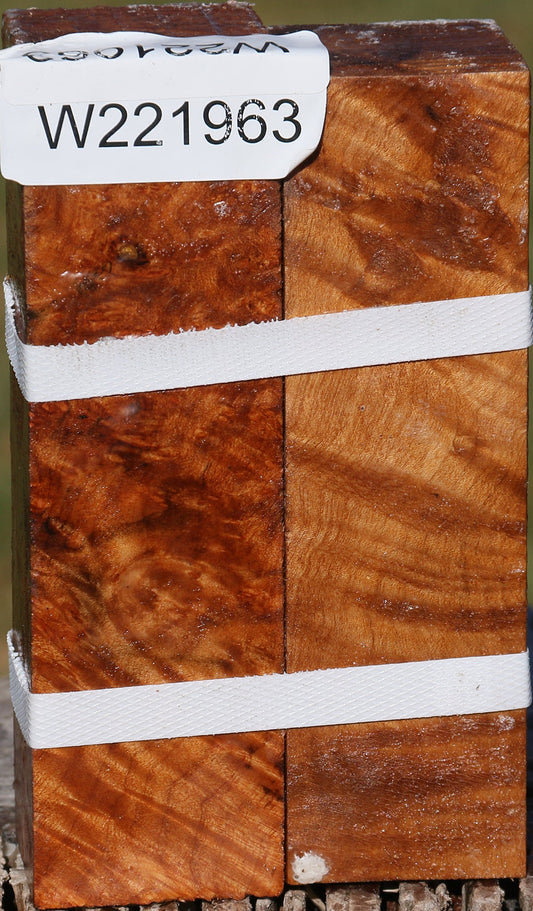 Maple Burl Turning Square 2 Pack