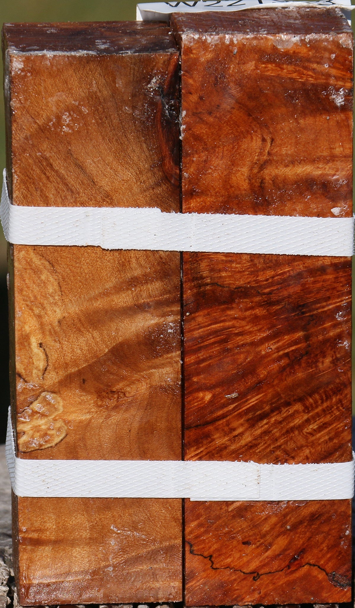 Maple Burl Turning Square 2 Pack