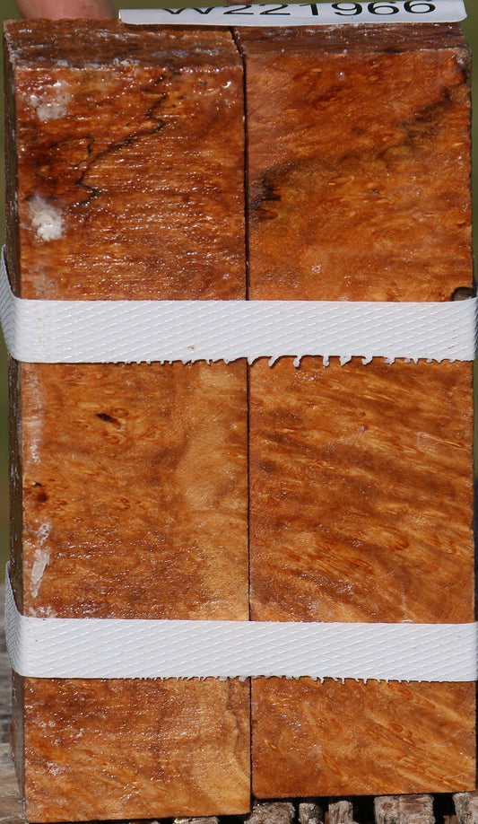 Maple Burl Turning Square 2 Pack