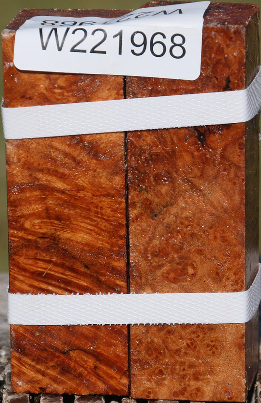 Maple Burl Turning Square 2 Pack