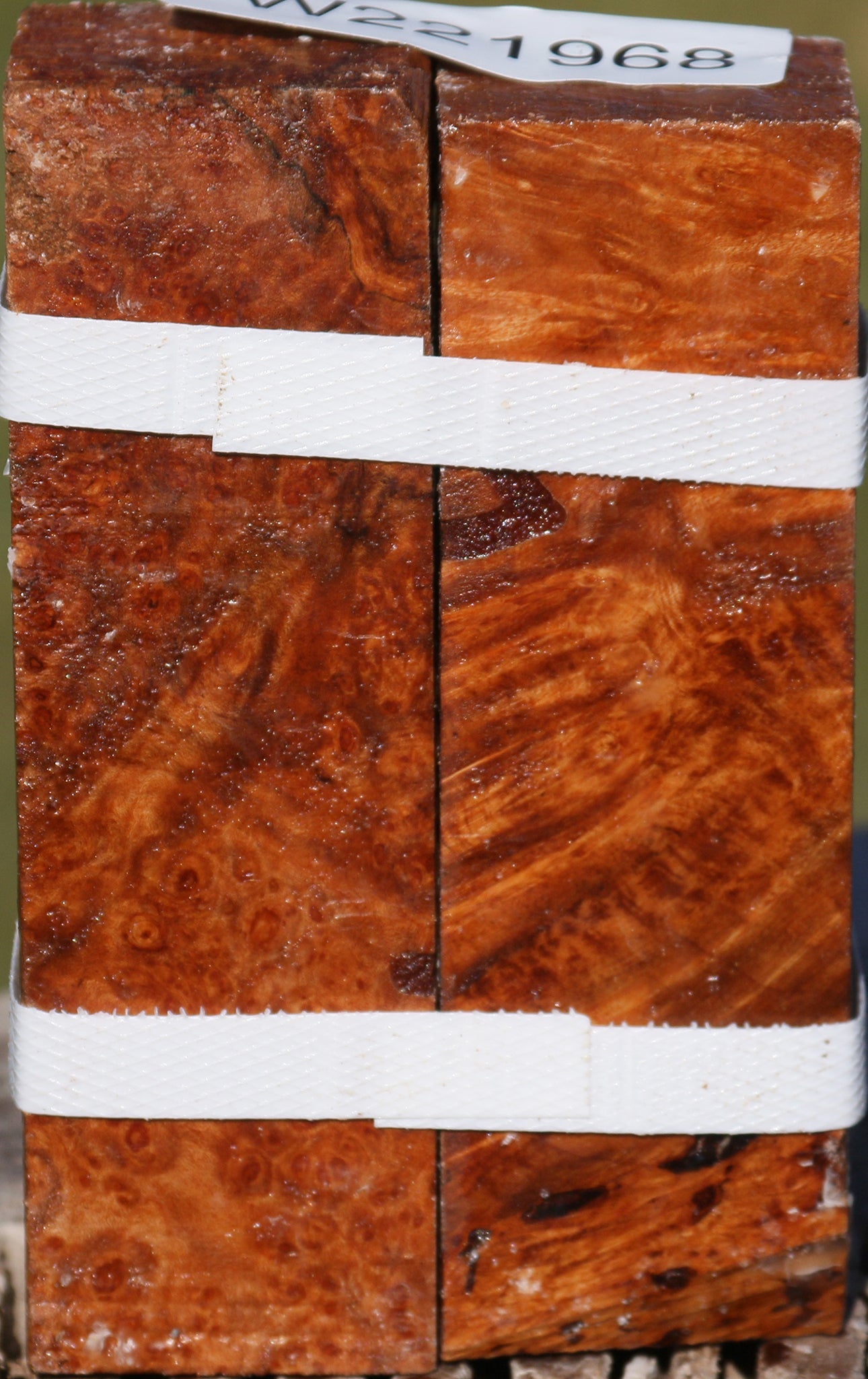 Maple Burl Turning Square 2 Pack