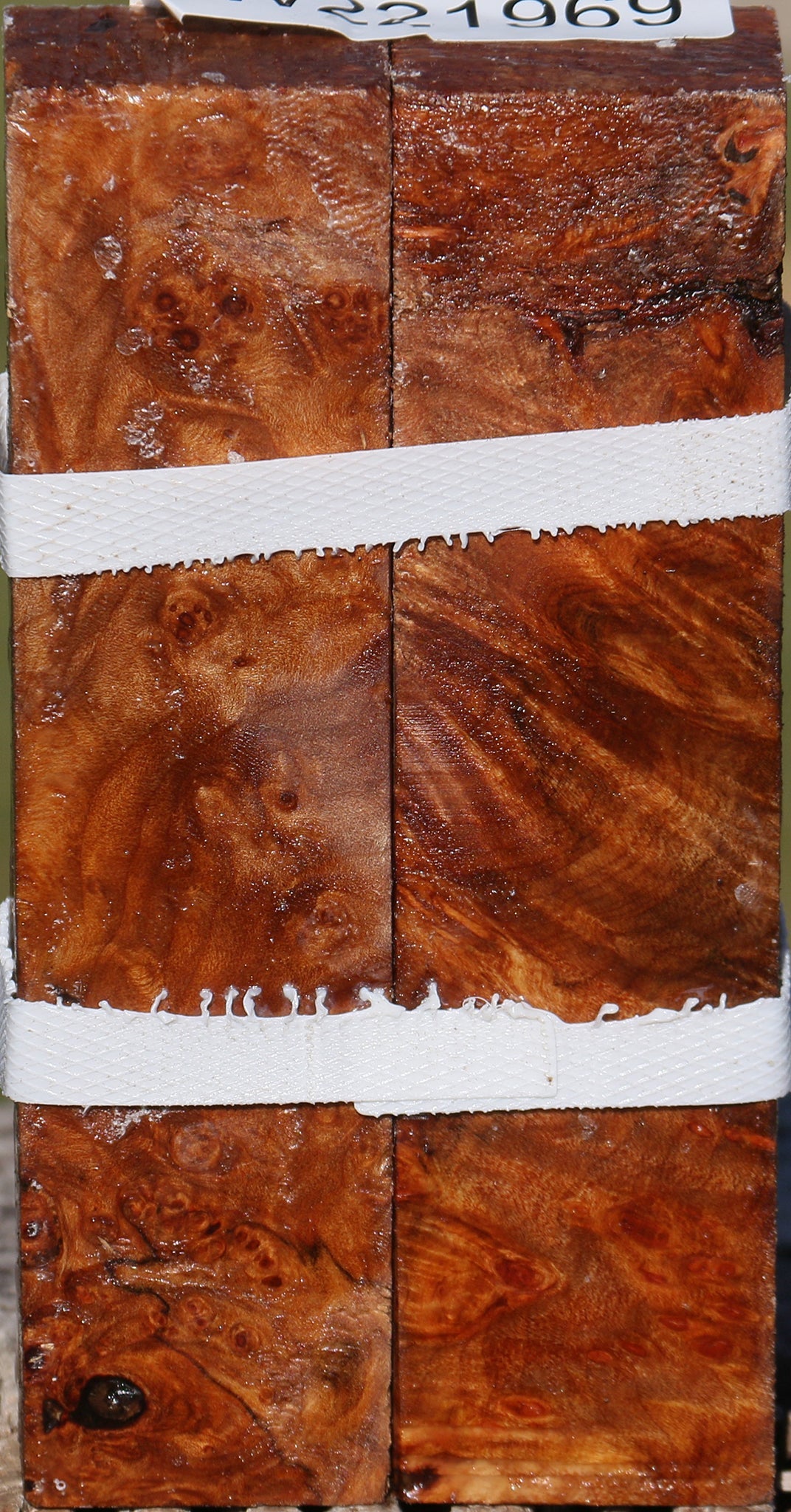 Maple Burl Turning Square 2 Pack