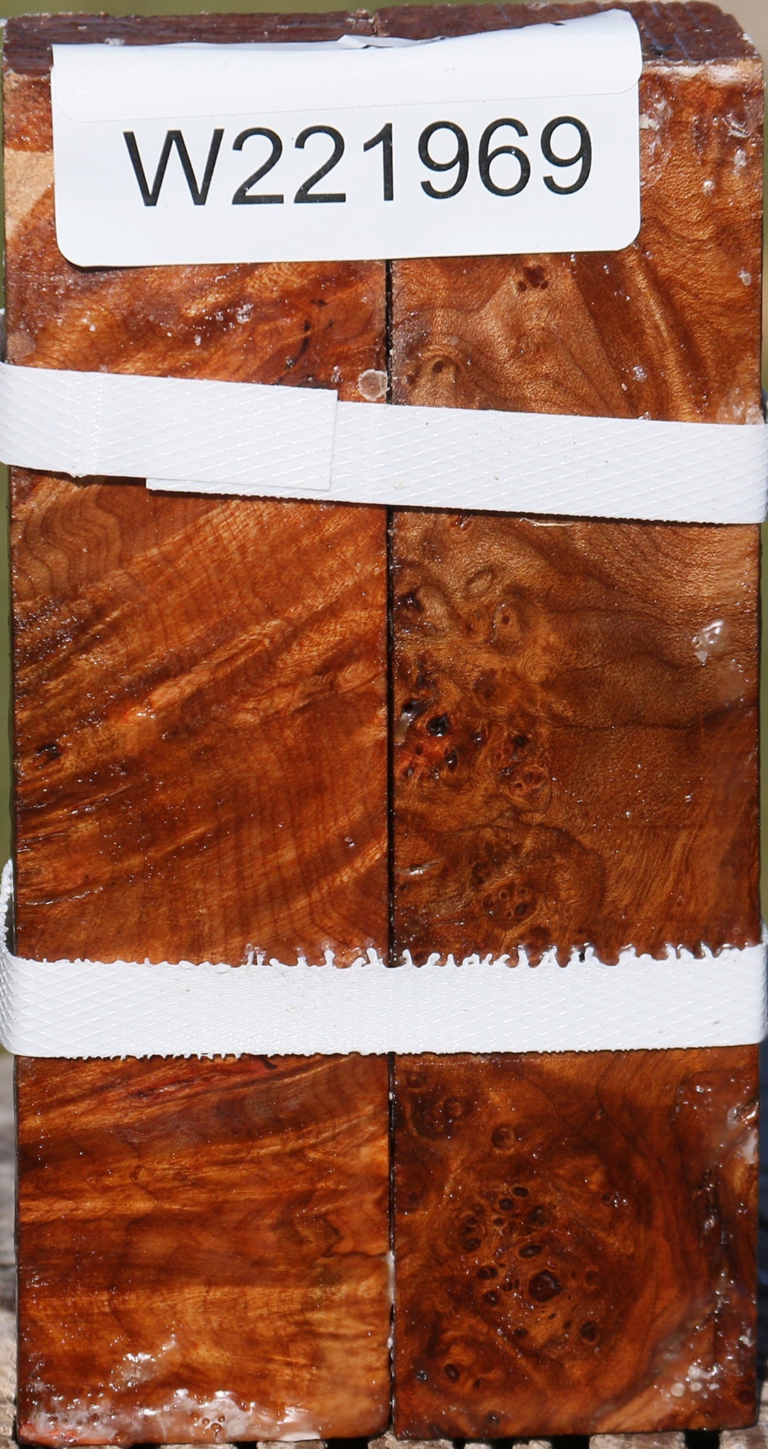 Maple Burl Turning Square 2 Pack