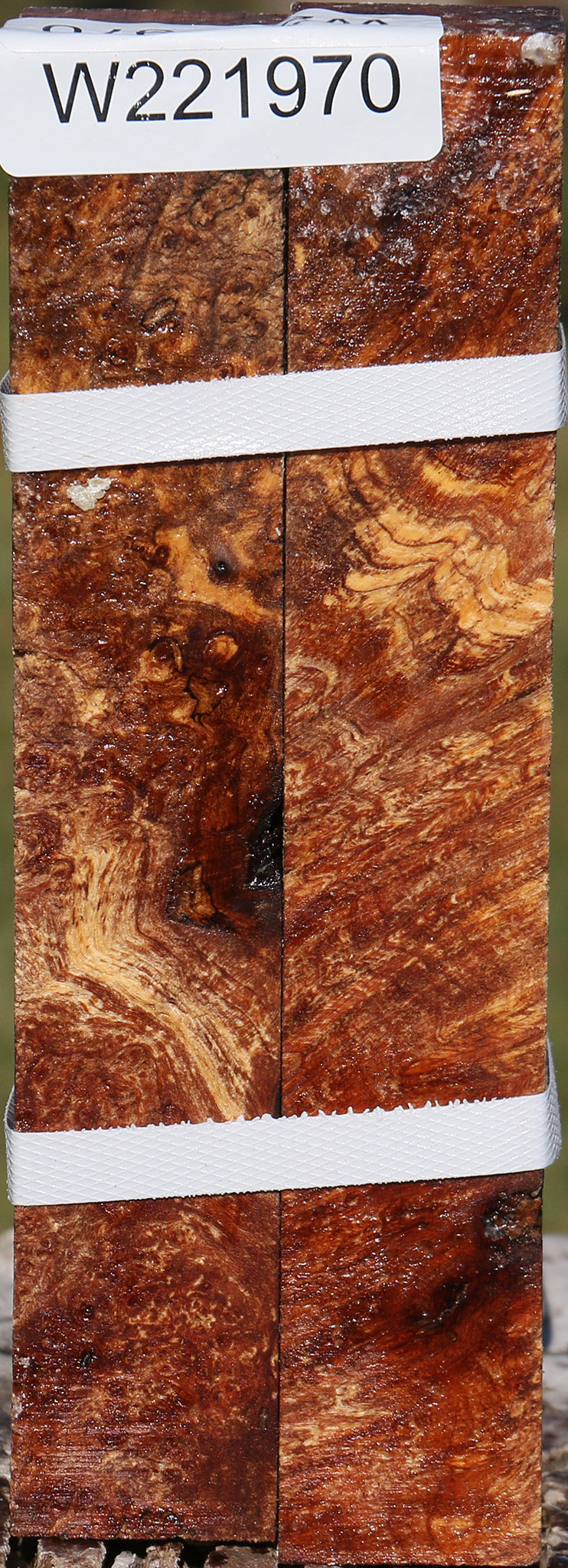 Maple Burl Turning Square 2 Pack