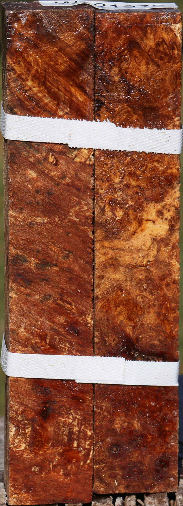 Maple Burl Turning Square 2 Pack