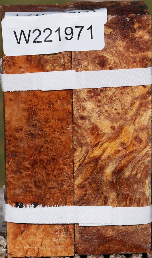 Maple Burl Turning Square 2 Pack