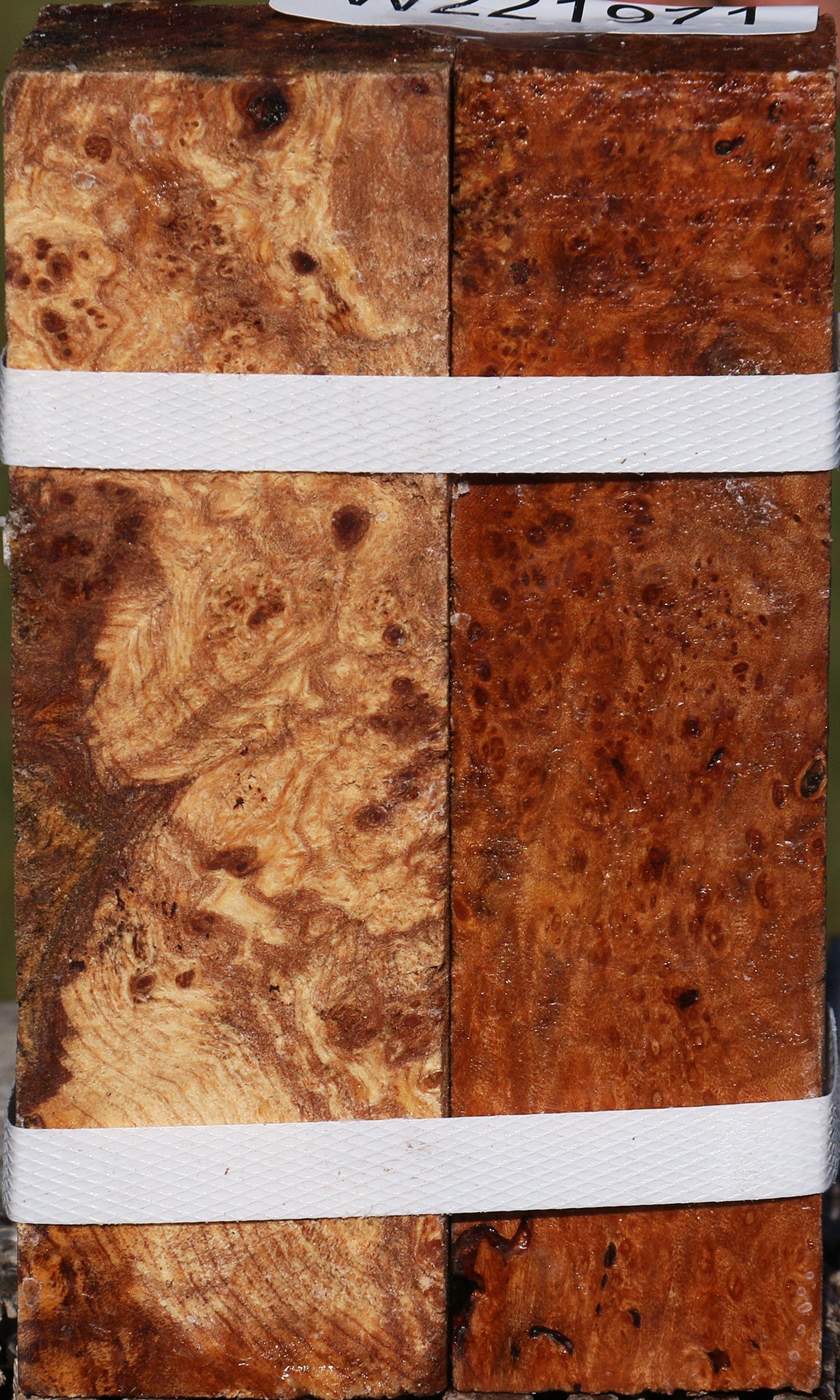 Maple Burl Turning Square 2 Pack