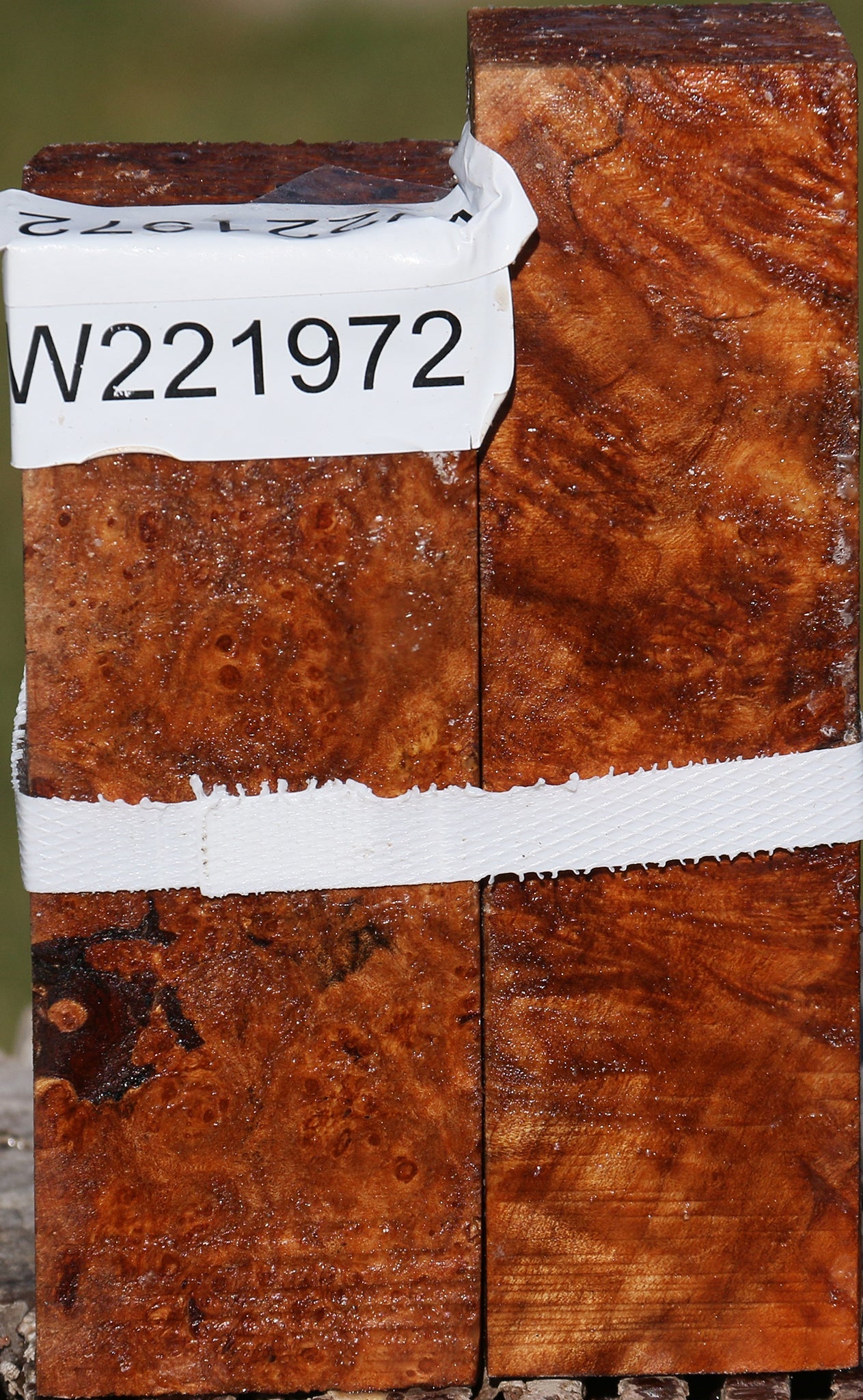 Maple Burl Turning Square 2 Pack