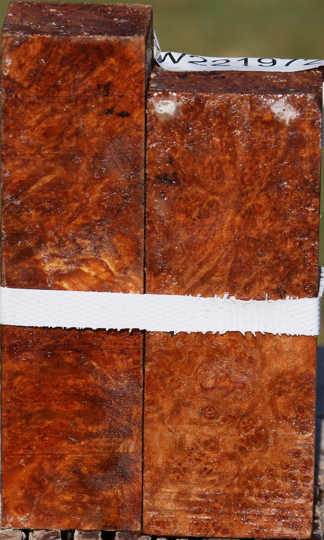 Maple Burl Turning Square 2 Pack