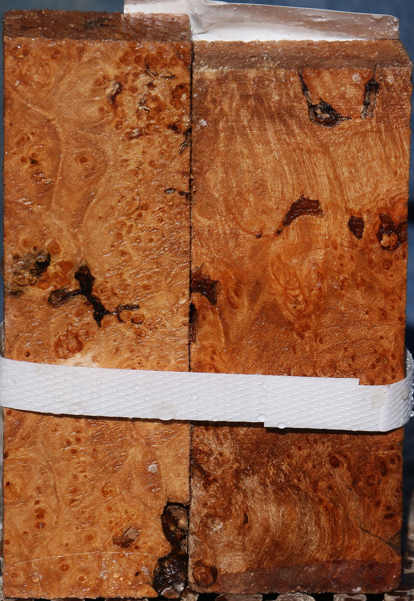 Maple Burl Turning Square 2 Pack