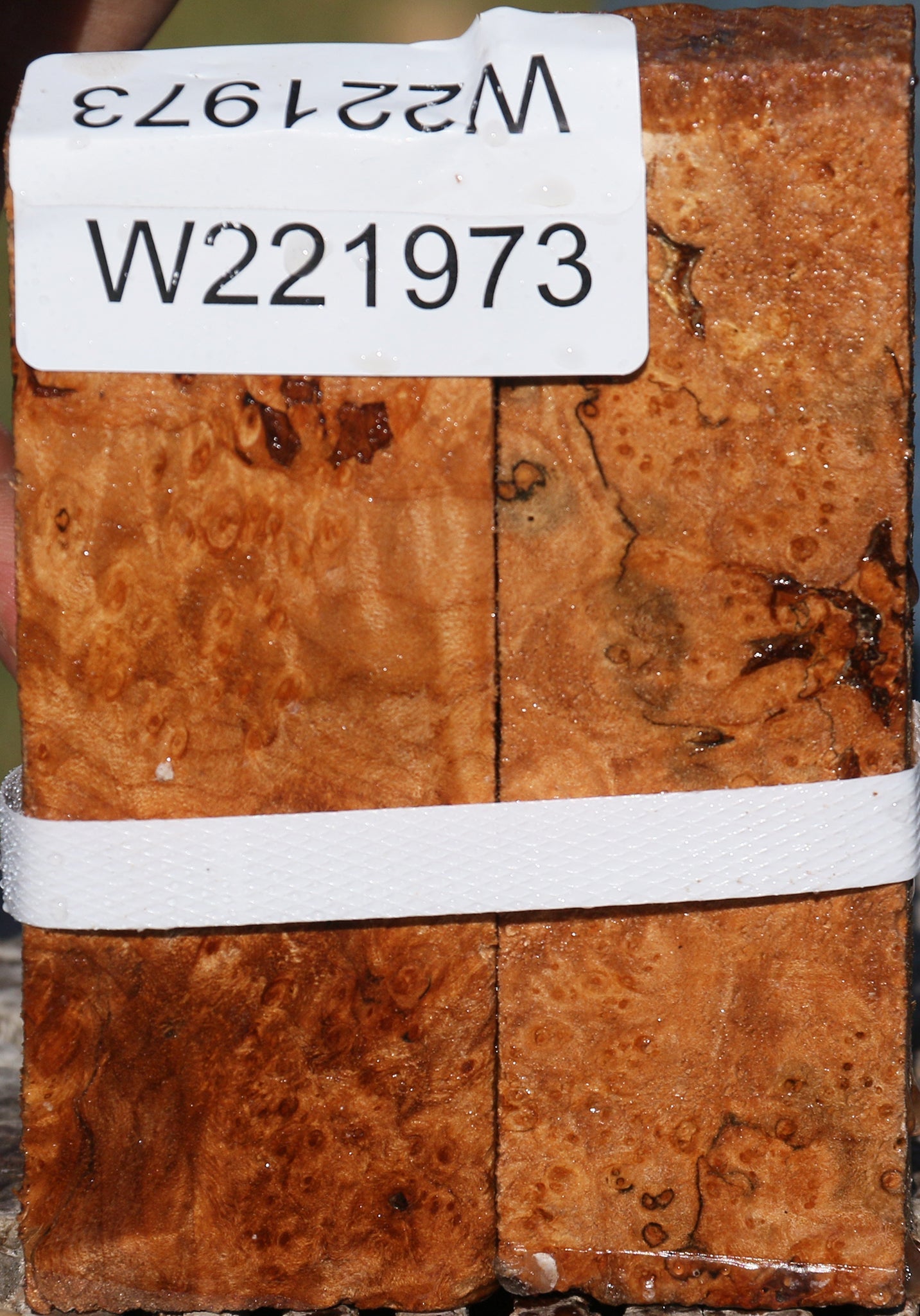 Maple Burl Turning Square 2 Pack