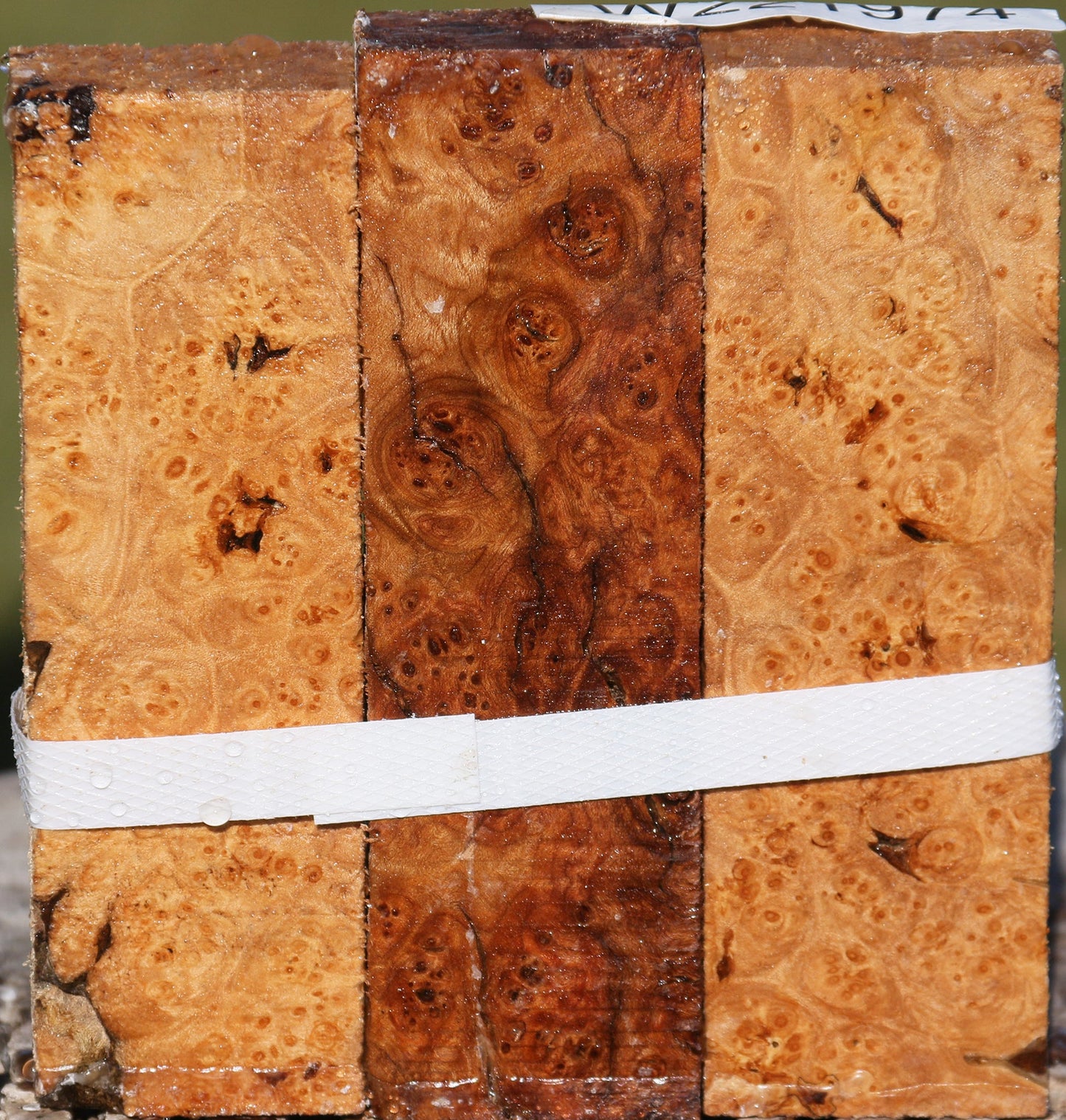 Maple Burl Turning Blank 3 Pack