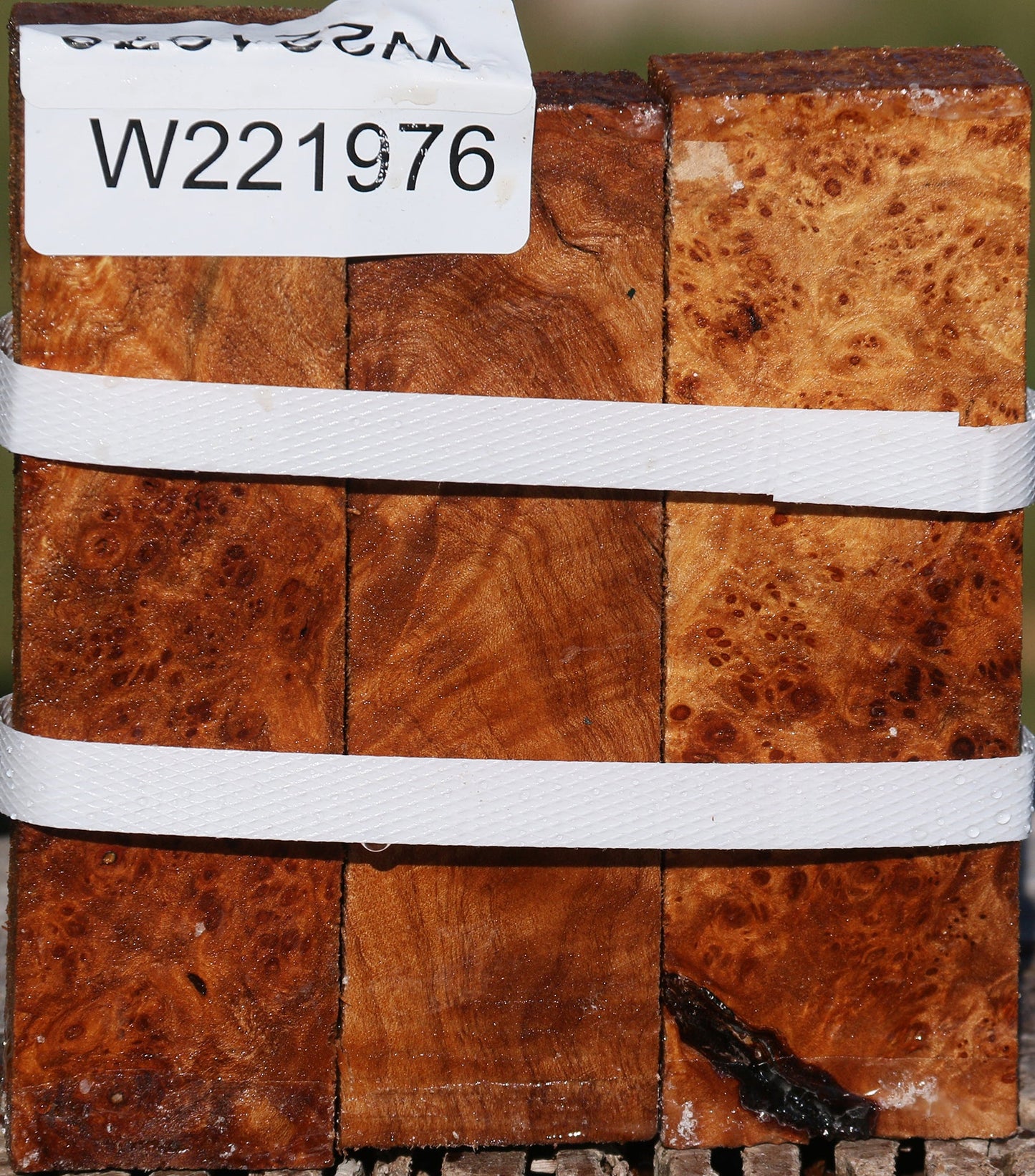 Maple Burl Turning Blank 3 Pack