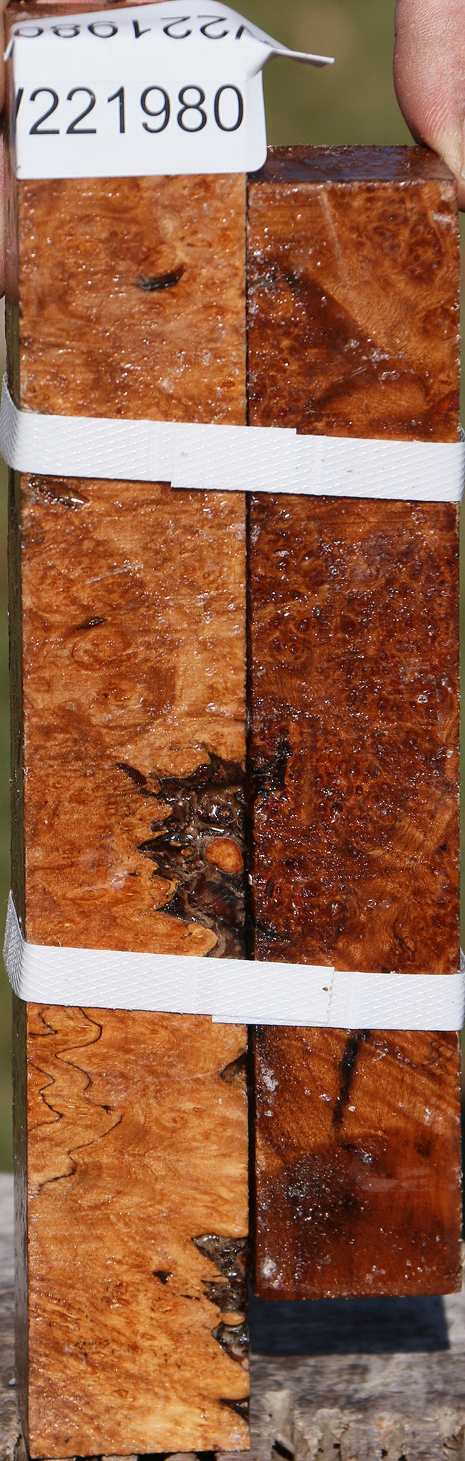 Maple Burl Turning Square 2 Pack