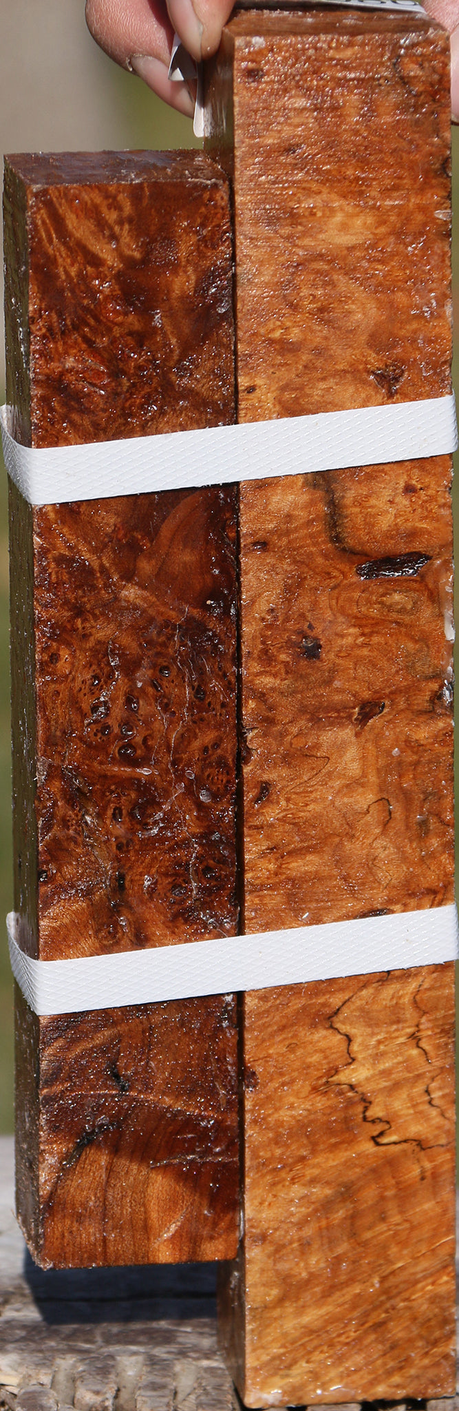 Maple Burl Turning Square 2 Pack