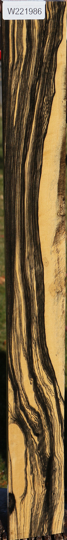 Black & White Ebony Micro Lumber