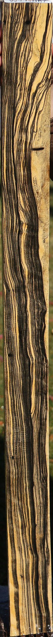 Black & White Ebony Micro Lumber