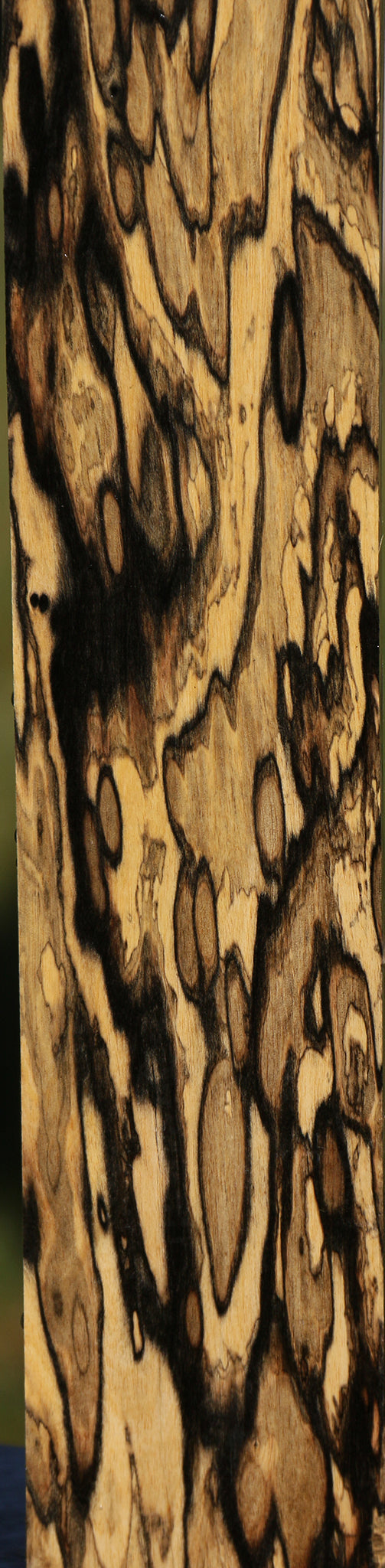 Black & White Ebony Lumber