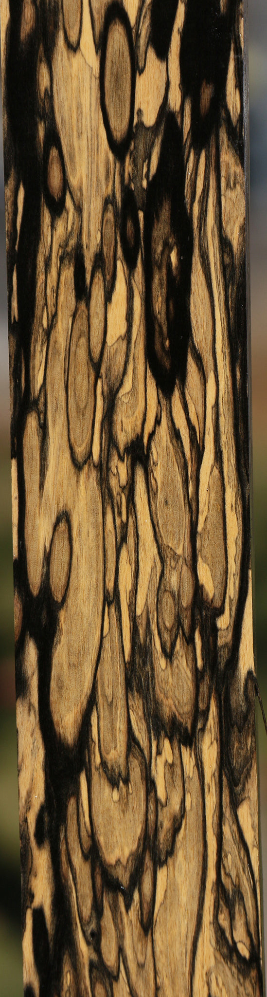 Black & White Ebony Lumber