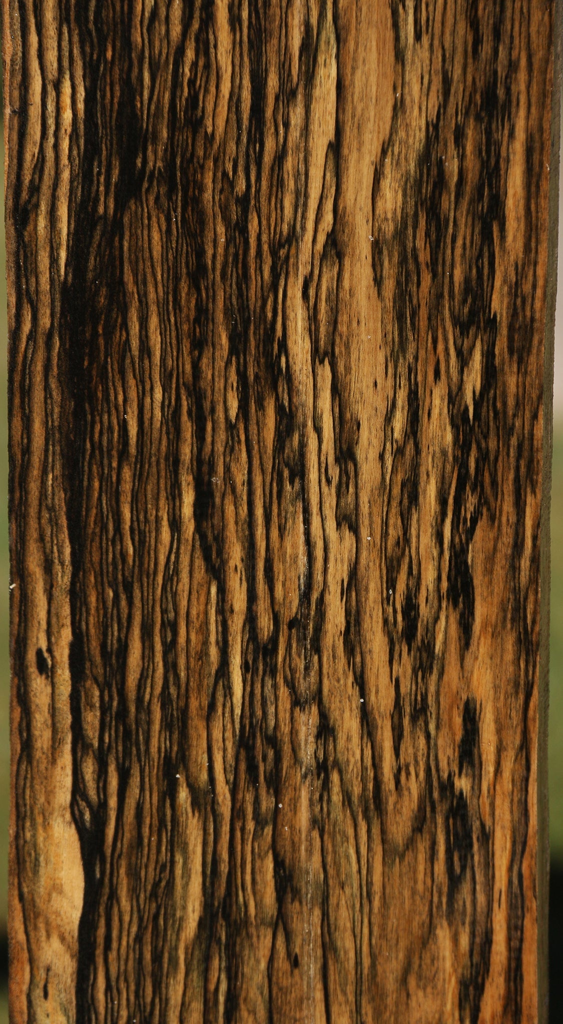 Black & White Ebony Lumber