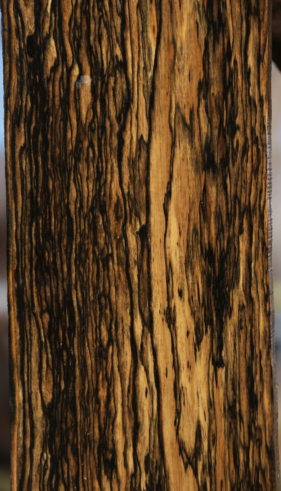 Black & White Ebony Lumber