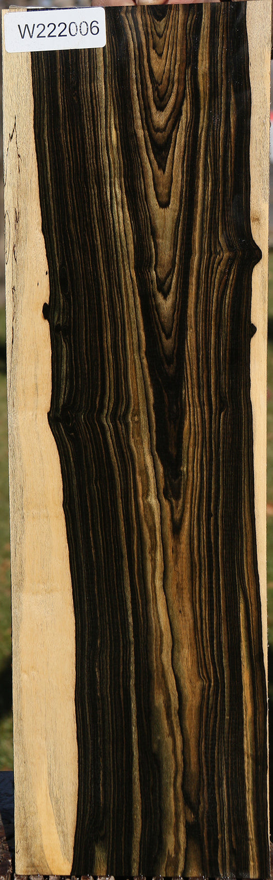 Black & White Ebony Instrument Lumber