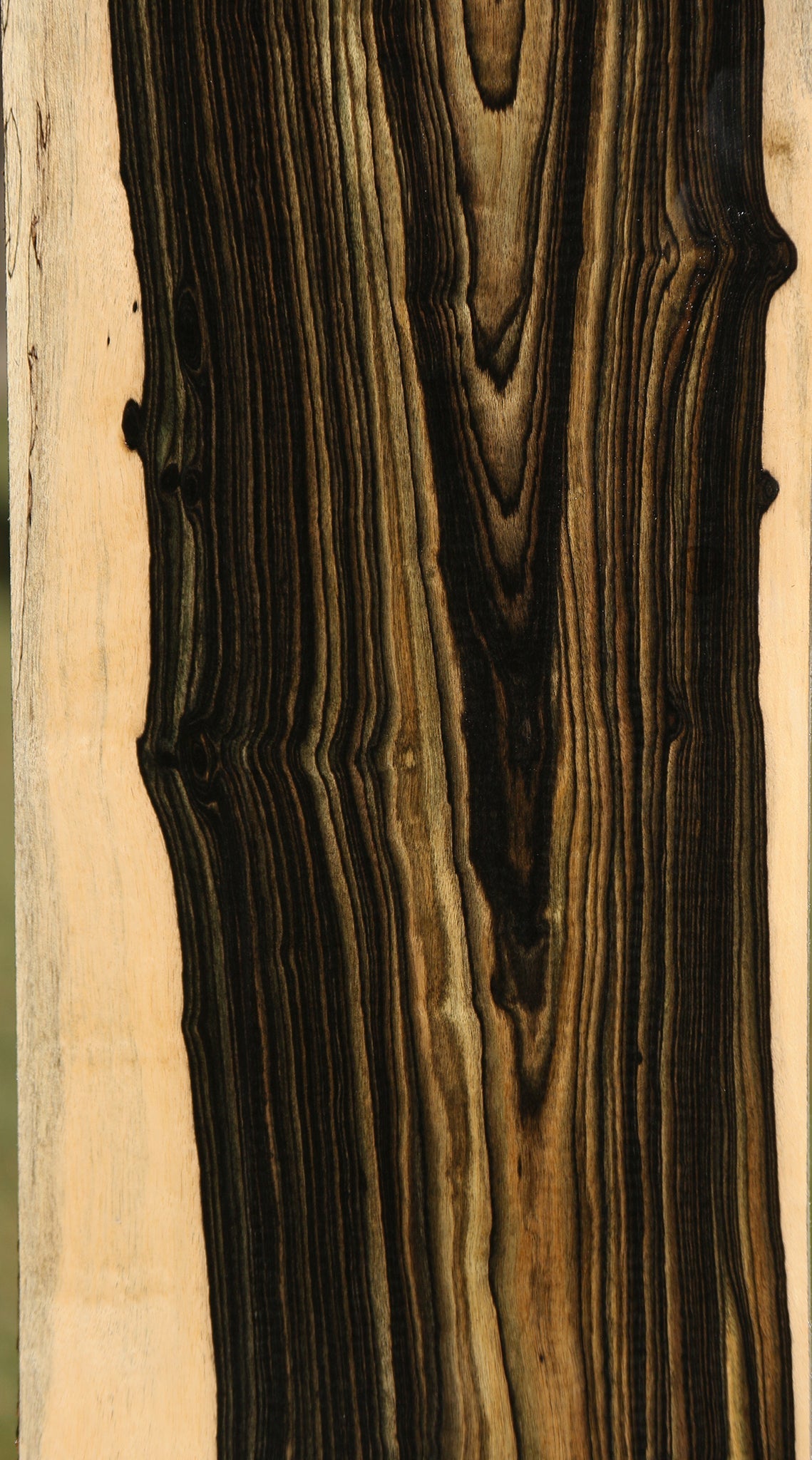 Black & White Ebony Instrument Lumber