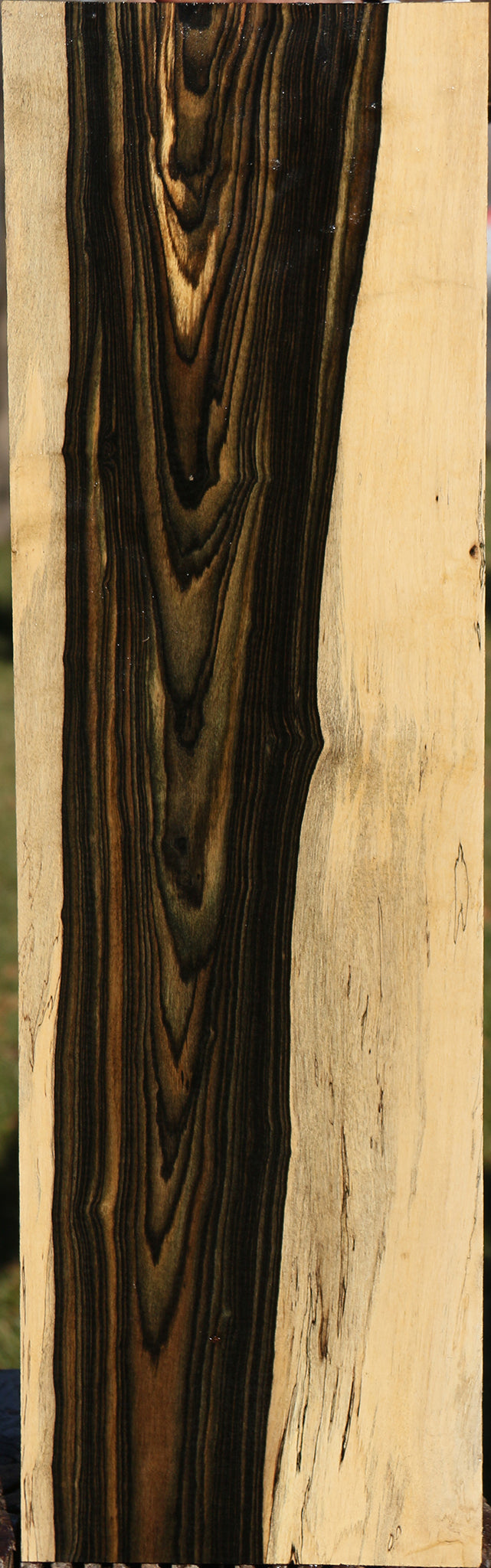 Black & White Ebony Instrument Lumber