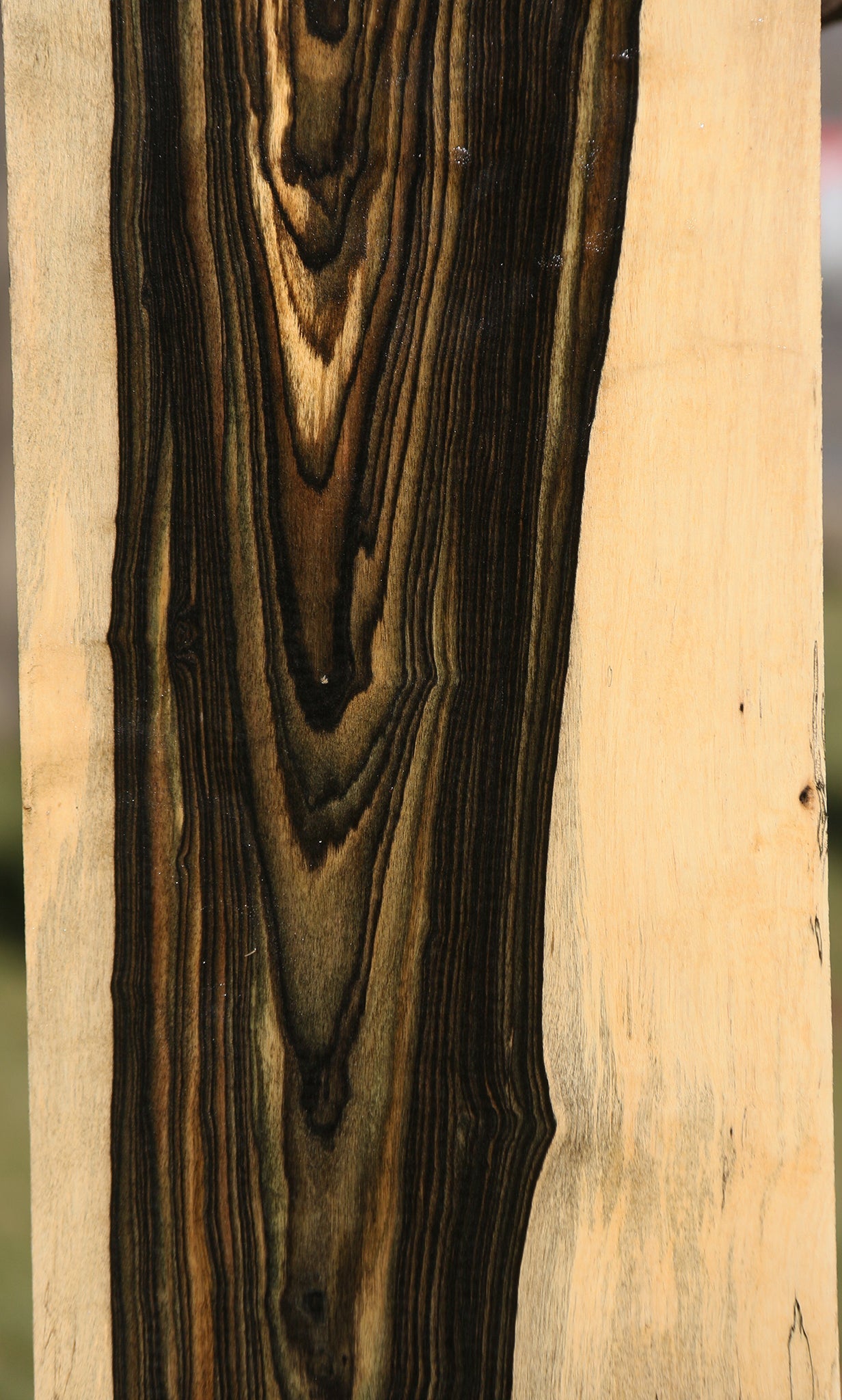 Black & White Ebony Instrument Lumber