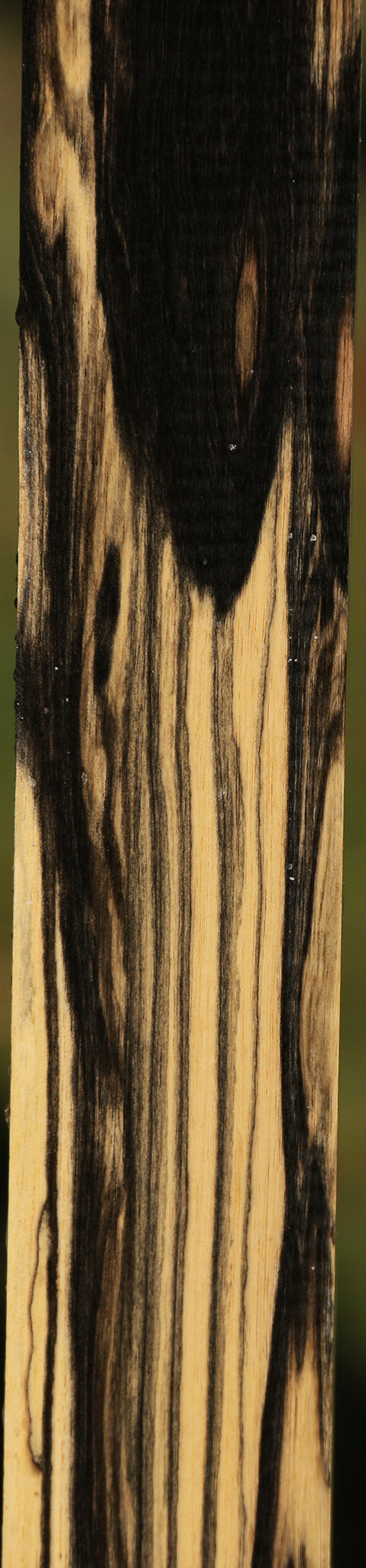 Black & White Ebony Turning Blank