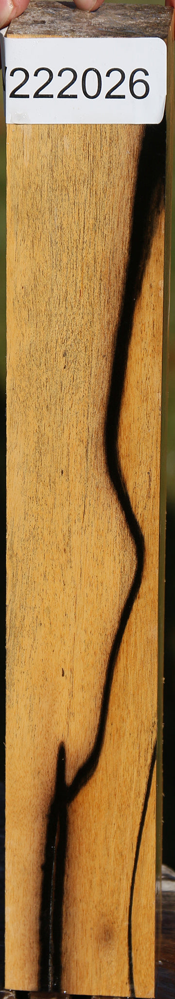 Black & White Ebony Turning Square