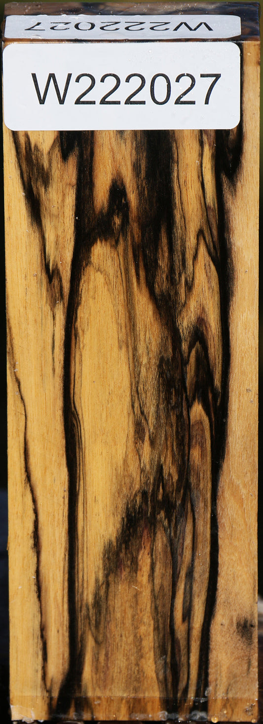 Black & White Ebony Turning Blank