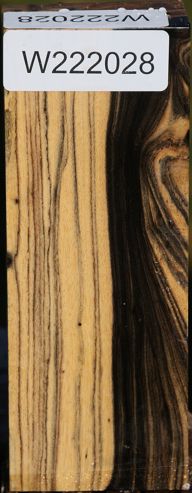 Black & White Ebony Turning Blank