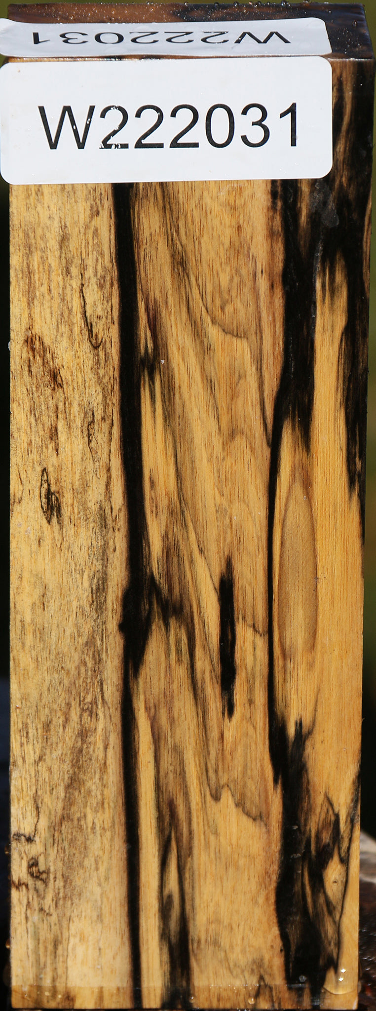 Black & White Ebony Turning Blank